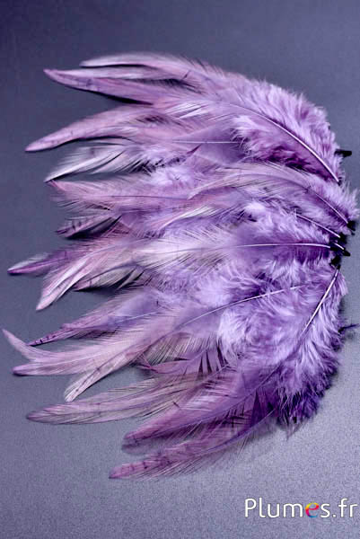 Coq - 8-12 cm - lilas-gris